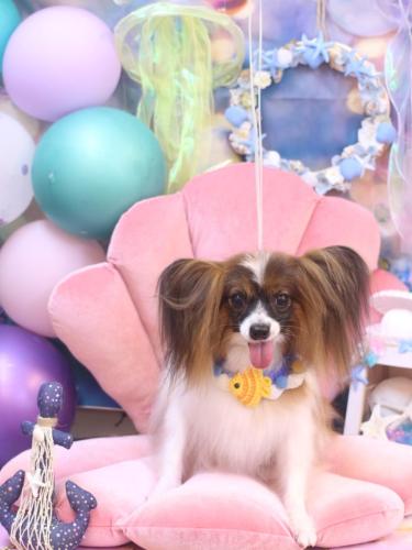 20240807ラナちゃん